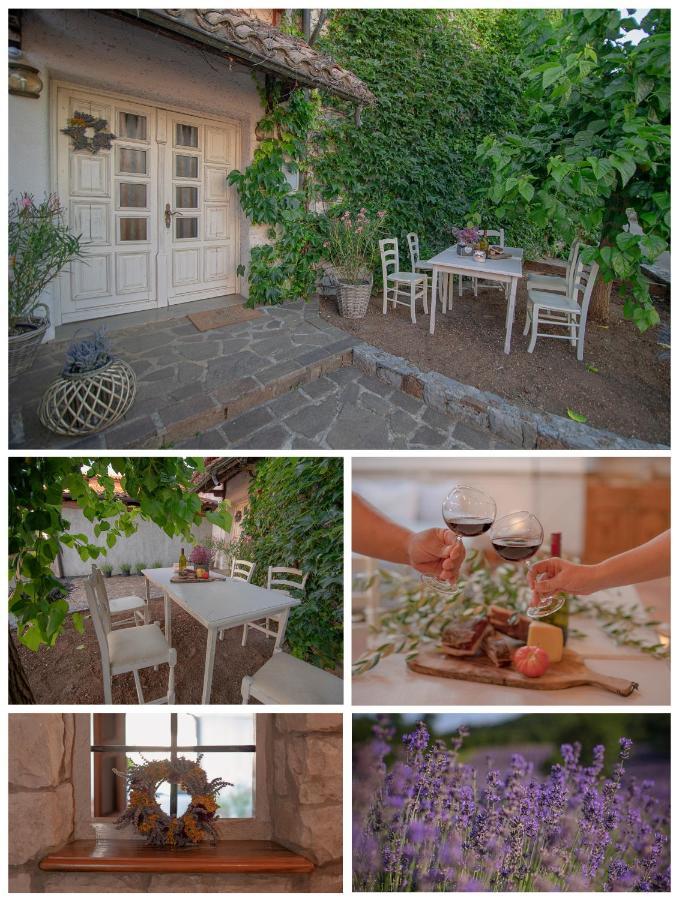 Apartment Ana - Karst Cycling Paradise Dutovlje 외부 사진