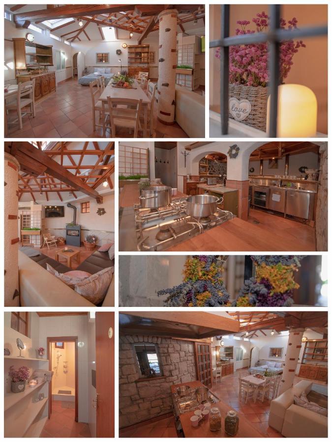 Apartment Ana - Karst Cycling Paradise Dutovlje 외부 사진