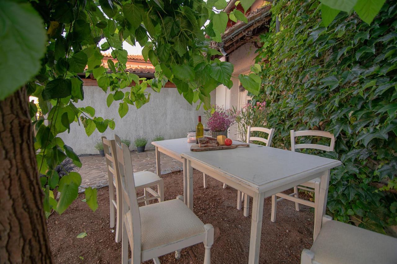 Apartment Ana - Karst Cycling Paradise Dutovlje 외부 사진