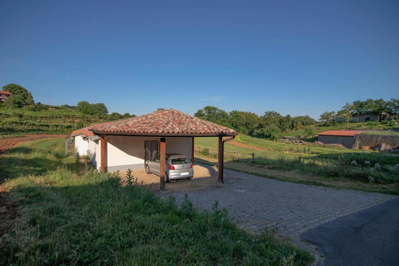 Apartment Ana - Karst Cycling Paradise Dutovlje 외부 사진