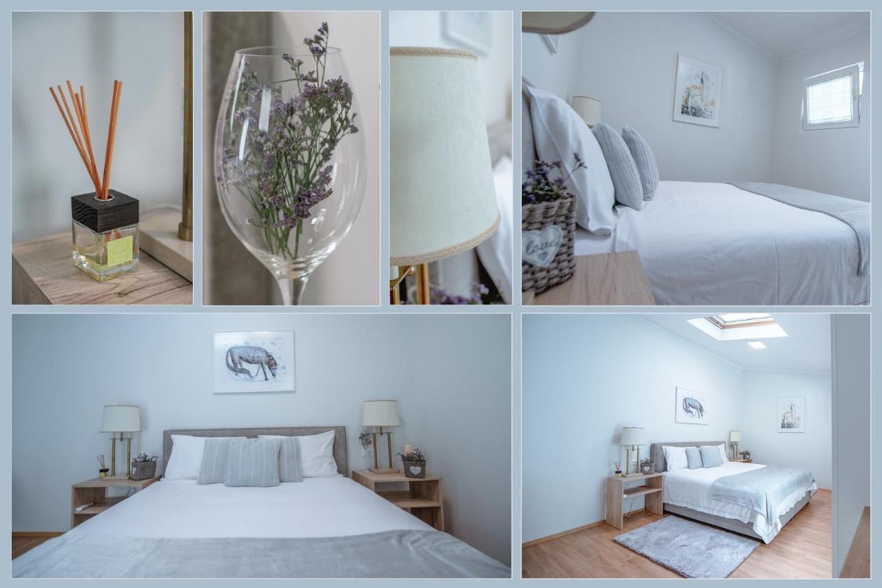 Apartment Ana - Karst Cycling Paradise Dutovlje 외부 사진