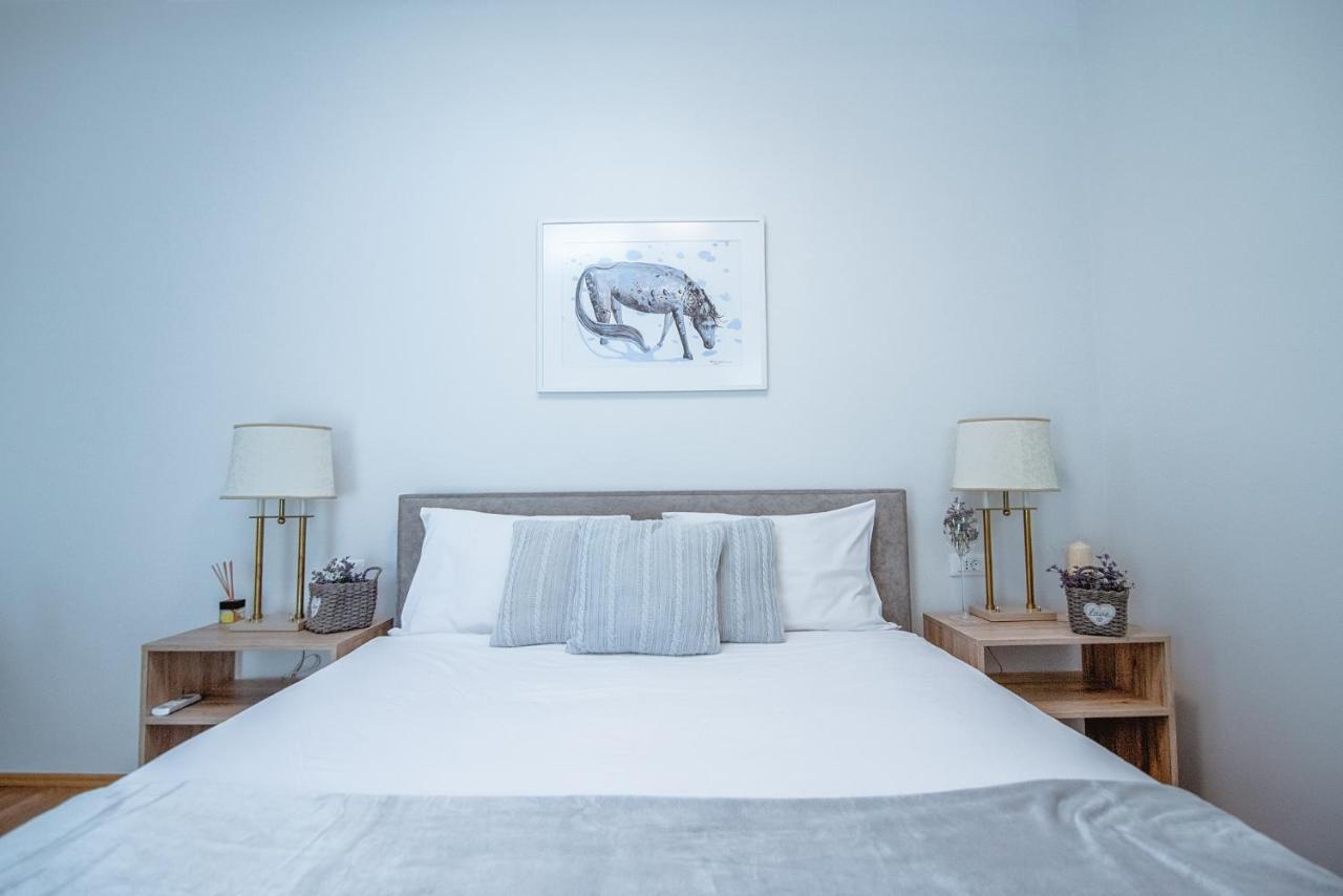Apartment Ana - Karst Cycling Paradise Dutovlje 외부 사진